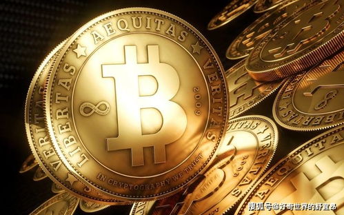 A visual representation of Bitcoin mining rigs in action, highlighting the risks and rewards of BTC investments